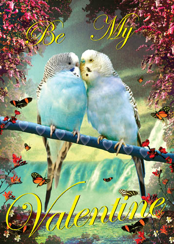 Be My Valentine Budgies Greeting Card